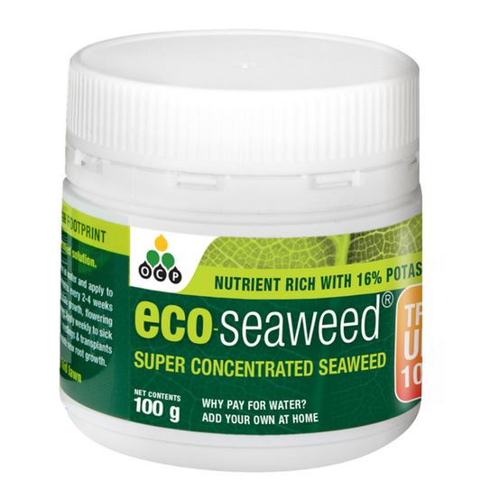 Eco-Seaweed