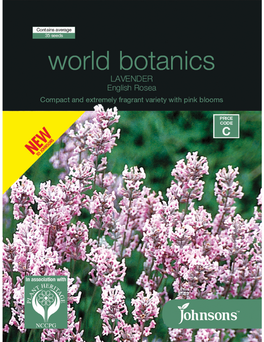 World Botanics Lavender English Rosea Seeds