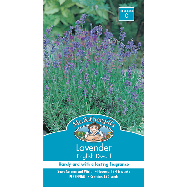 Mr Fothergrill's Lavender English Dwarf Seeds