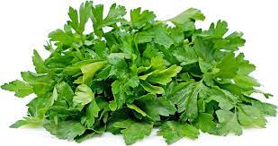 Country Value Parsley Italian Seeds