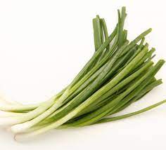 Country Value Spring Onion Seeds